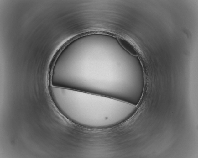 X0000111241076200907020954