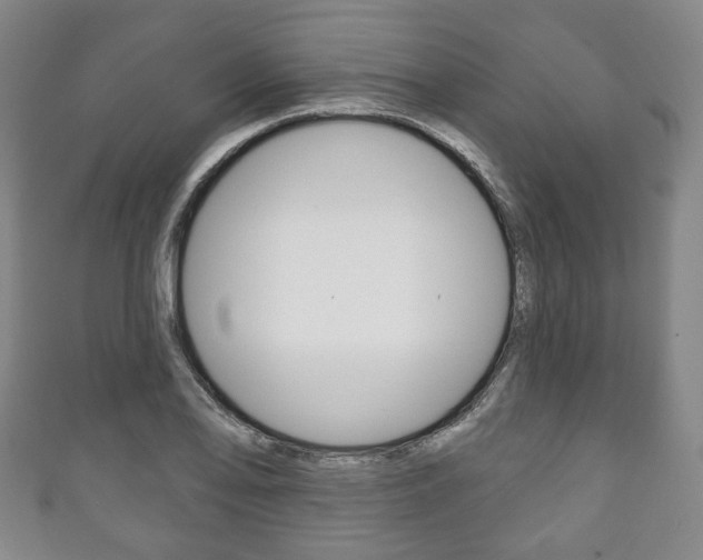 X0000111241078200907020954