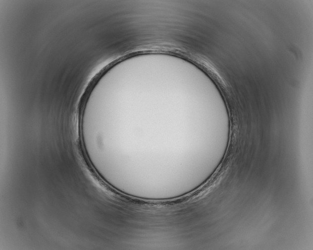 X0000111241079200907020954