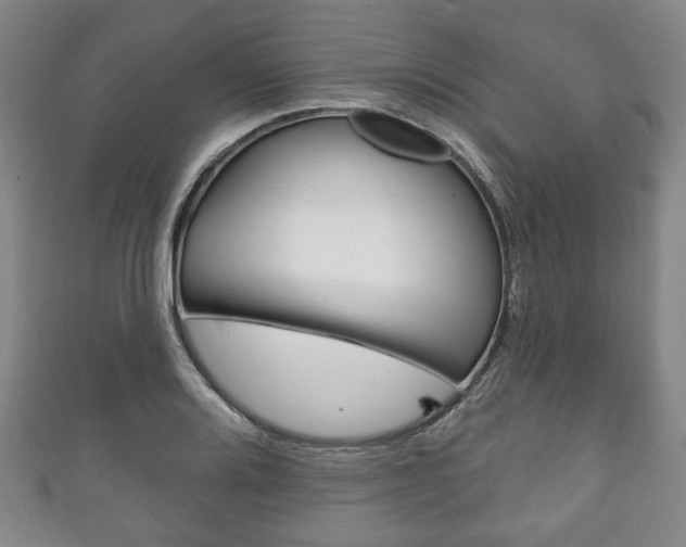X0000111241080200907020954