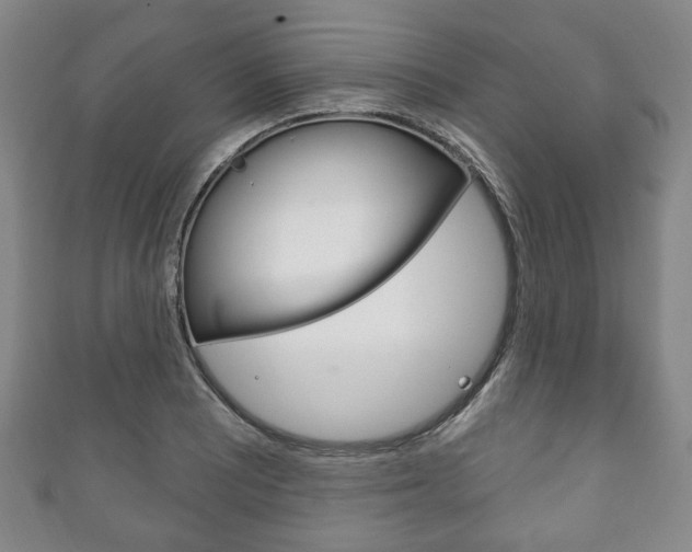X0000111241081200907020954