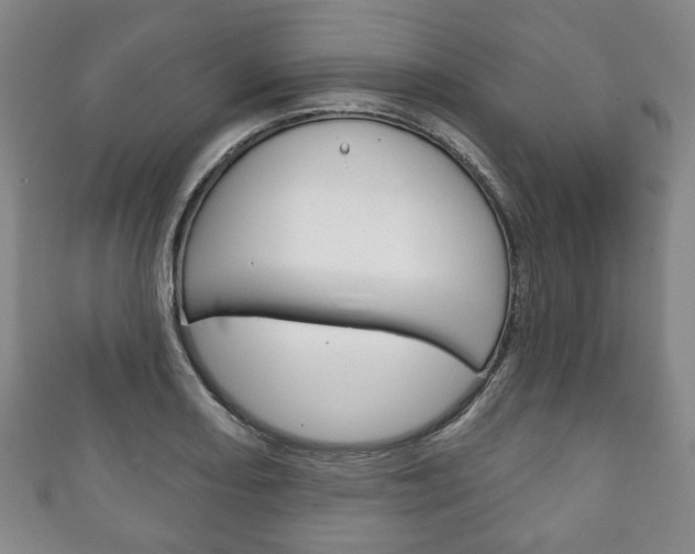 X0000111241082200907020954