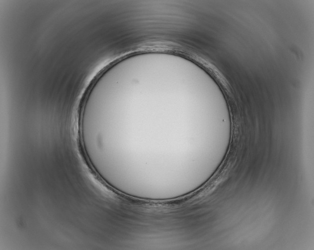 X0000111241083200907020954