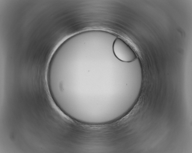 X0000111241084200907020954