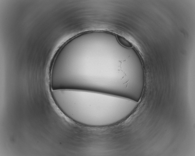 X0000111241088200907020953