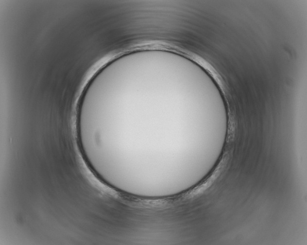X0000111241090200907020953