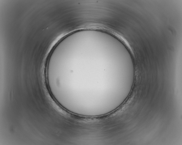 X0000111241091200907020953
