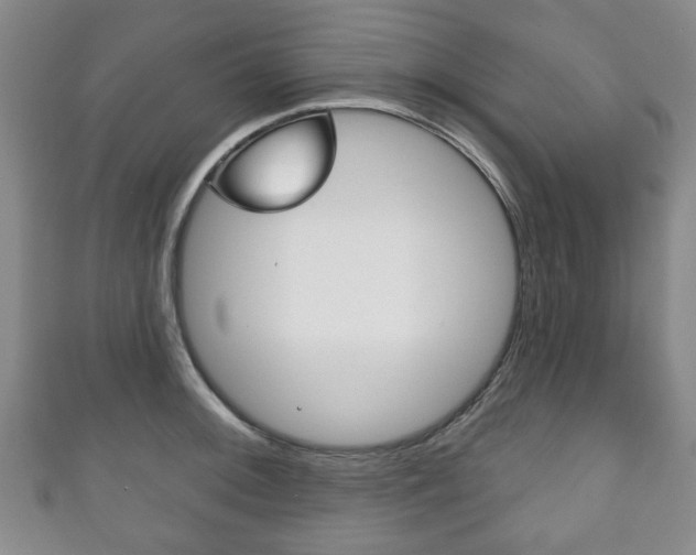 X0000111241092200907020953