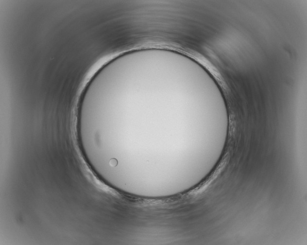 X0000111241094200907020953