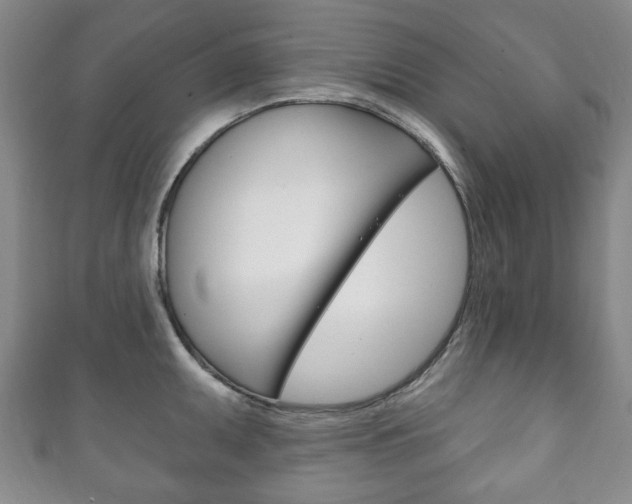 X0000111241095200907020953