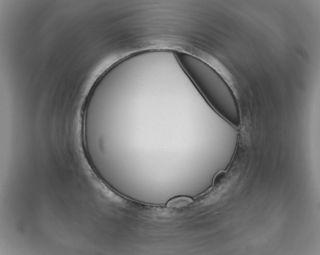 X0000111241096200907020953