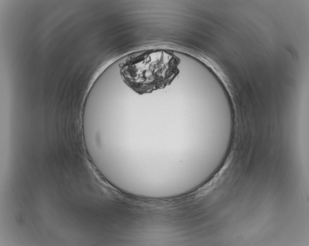 X0000111241097200907020953