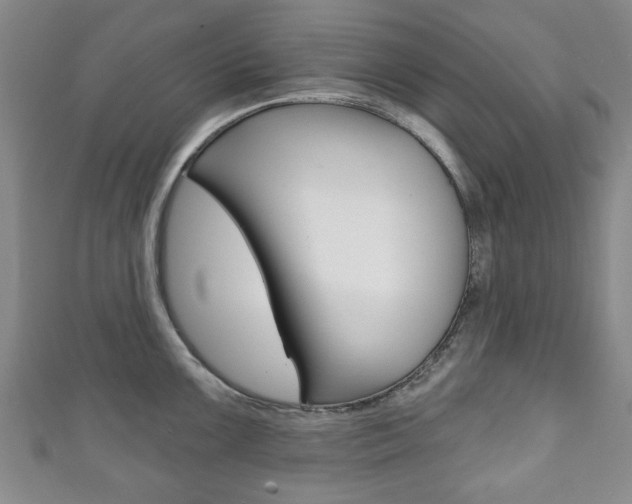 X0000111241099200907020953