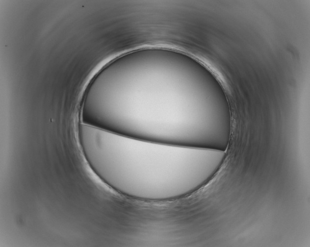 X0000111241100200907020953