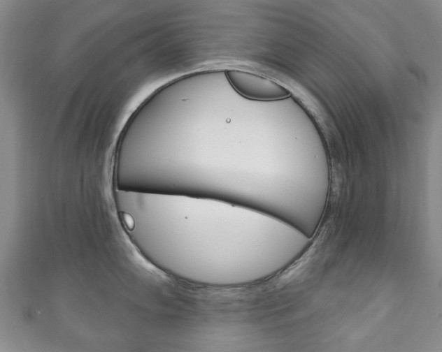 X0000111241102200907020953