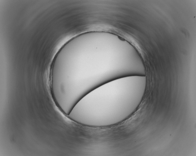 X0000111241103200907020953