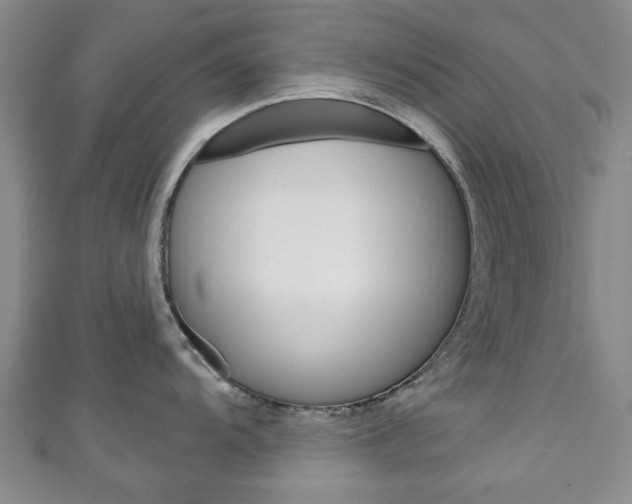 X0000111241104200907020953
