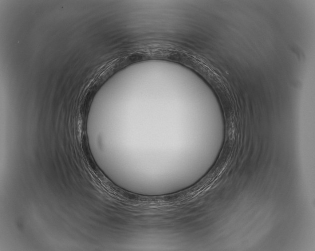 X0000111241108200907020953