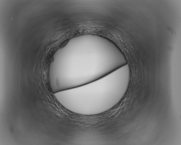 X0000111241109200907020953