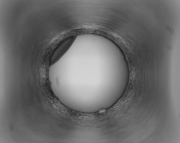 X0000111241110200907020953