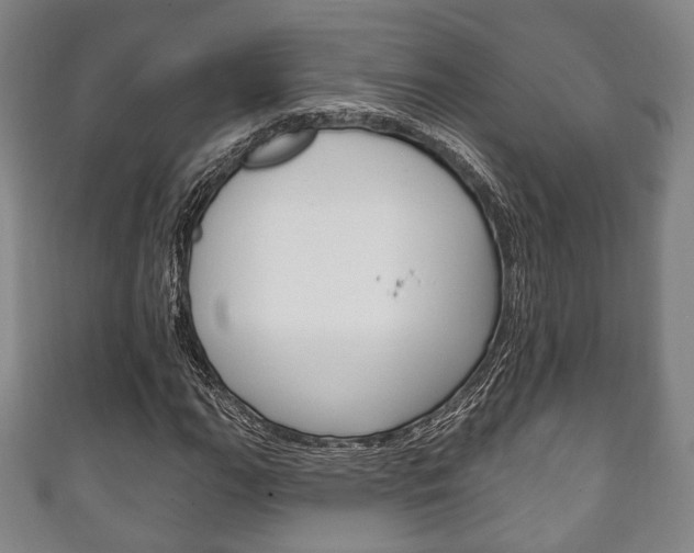 X0000111241111200907020953