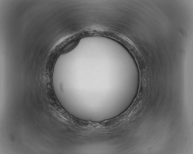 X0000111241112200907020953
