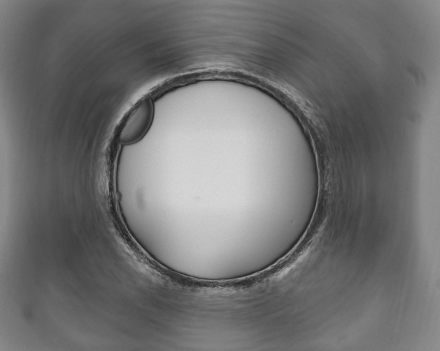 X0000111241118200907020953
