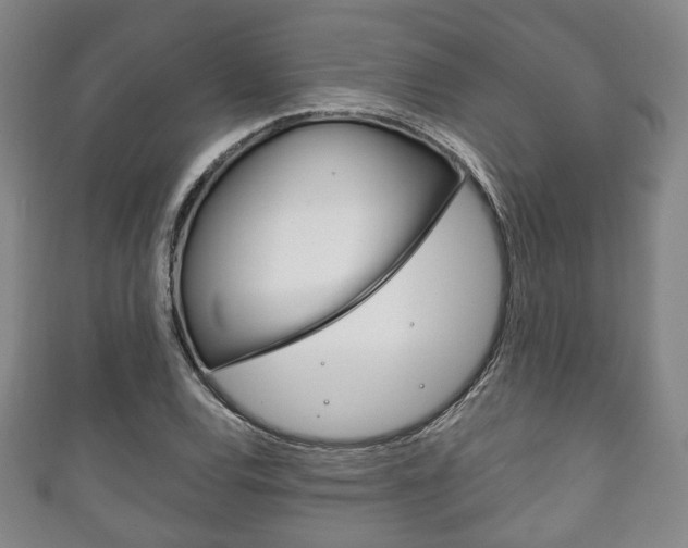 X0000111241120200907020953