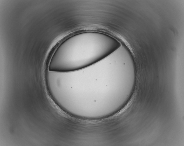 X0000111241122200907020953