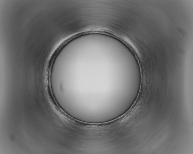 X0000111241124200907020953
