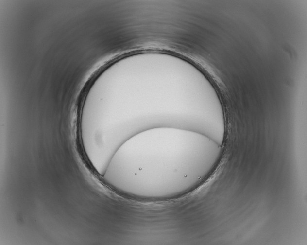 X0000111241126200907020953