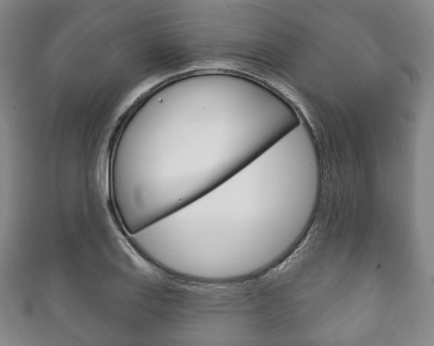 X0000111241127200907020953