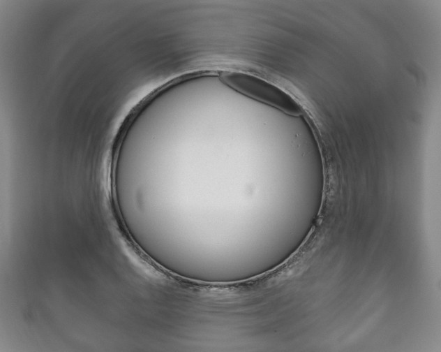 X0000111241128200907020953