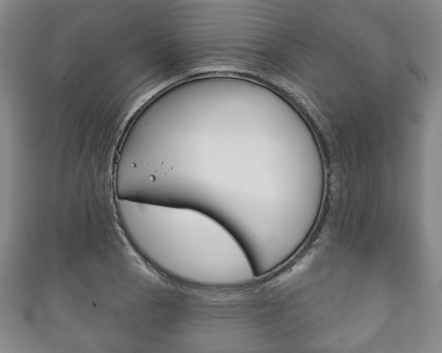 X0000111241129200907020953