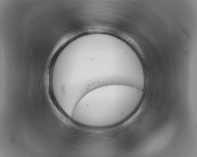 X0000111241130200907020953