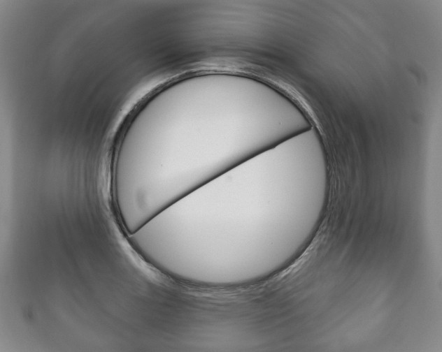 X0000111241131200907020953