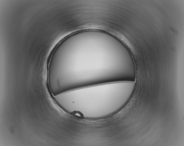 X0000111241132200907020953