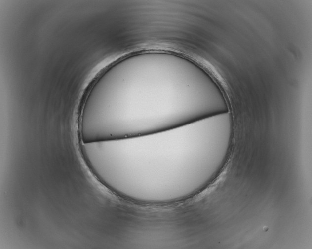 X0000111241133200907020953