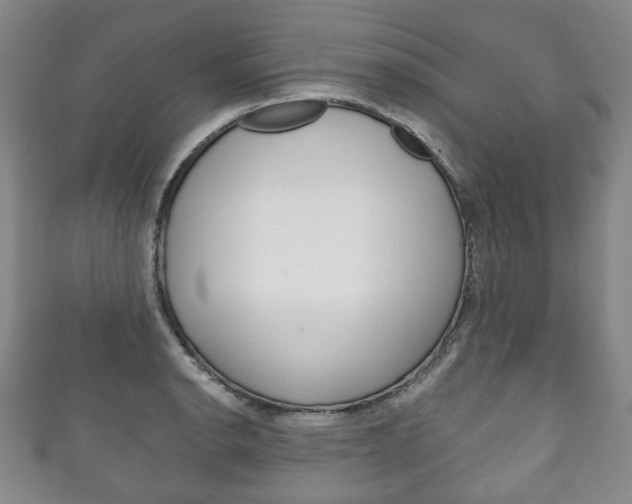 X0000111241134200907020953