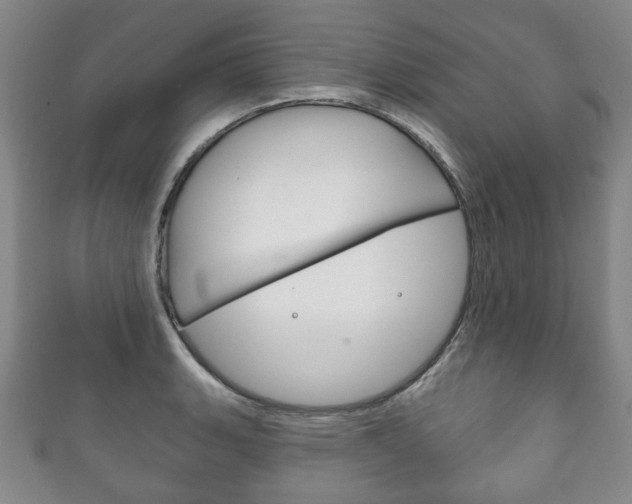 X0000111241135200907020953