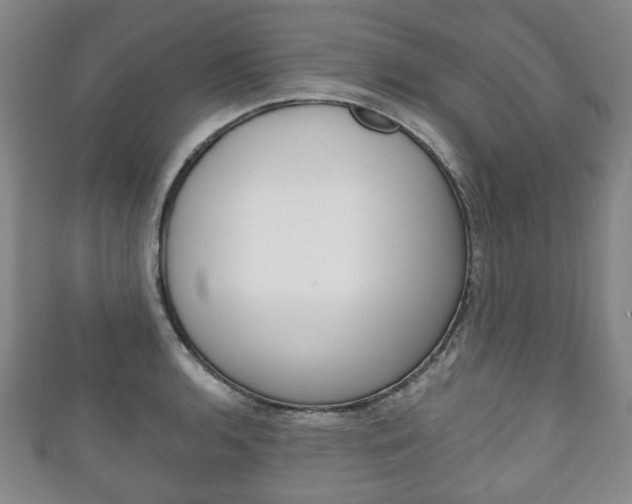 X0000111241136200907020953