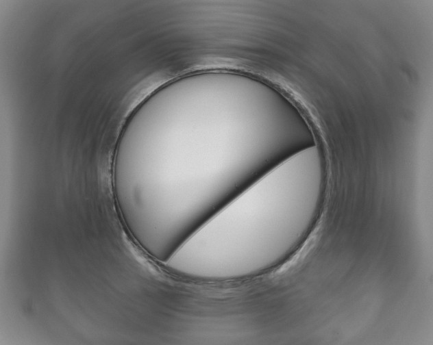 X0000111241137200907020953