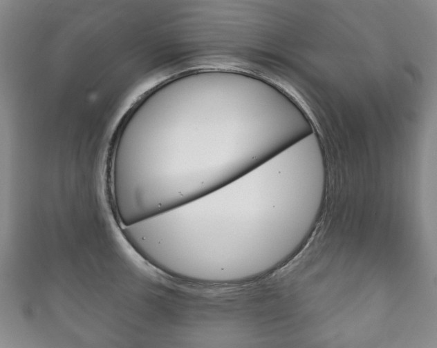 X0000111241139200907020953