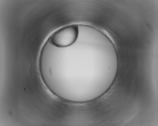 X0000111241140200907020953