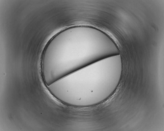 X0000111241142200907020953