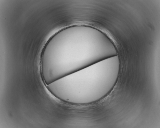 X0000111241143200907020953