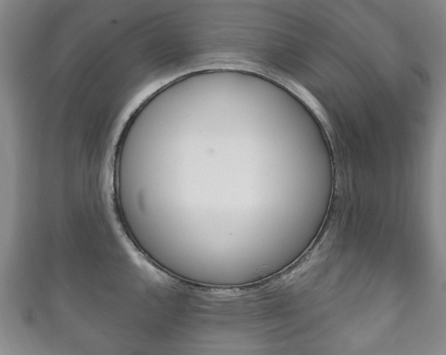 X0000111241144200907020953