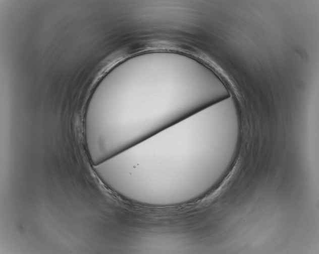 X0000111241145200907020953