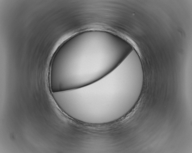 X0000111241146200907020953