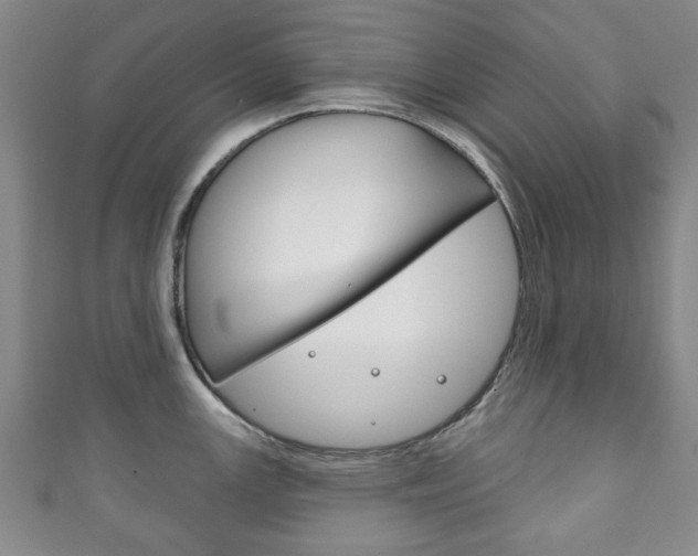 X0000111241147200907020953